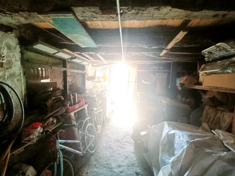 IMG20251111114342-scaled