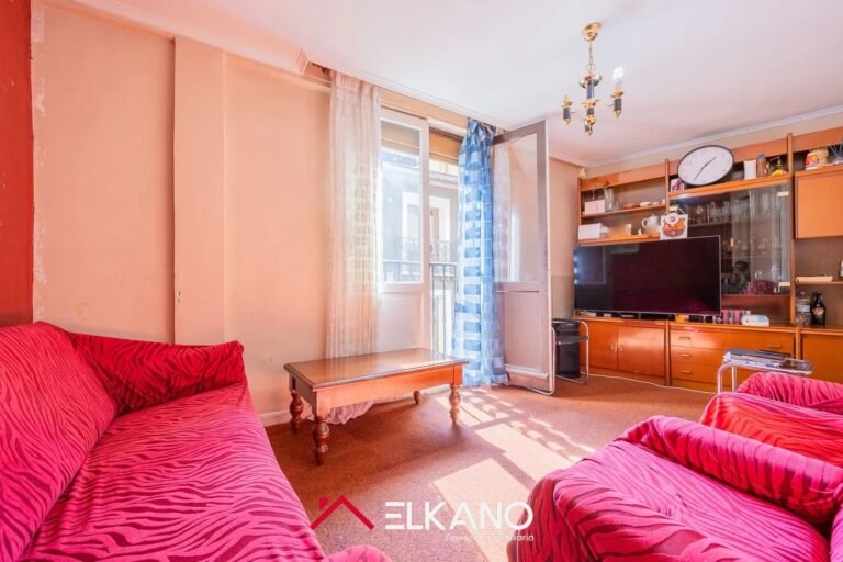 Inmobiliaria Elkano - Calle del Perro - Casco viejo (1)