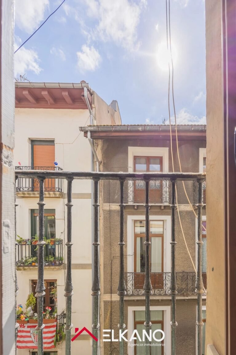 Inmobiliaria Elkano - Calle del Perro - Casco viejo (10)