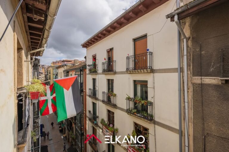 Inmobiliaria Elkano - Calle del Perro - Casco viejo (11)