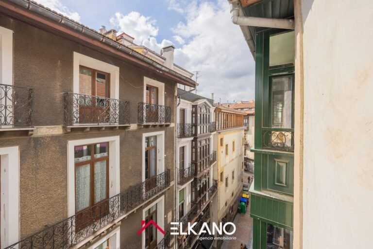 Inmobiliaria Elkano - Calle del Perro - Casco viejo (12)