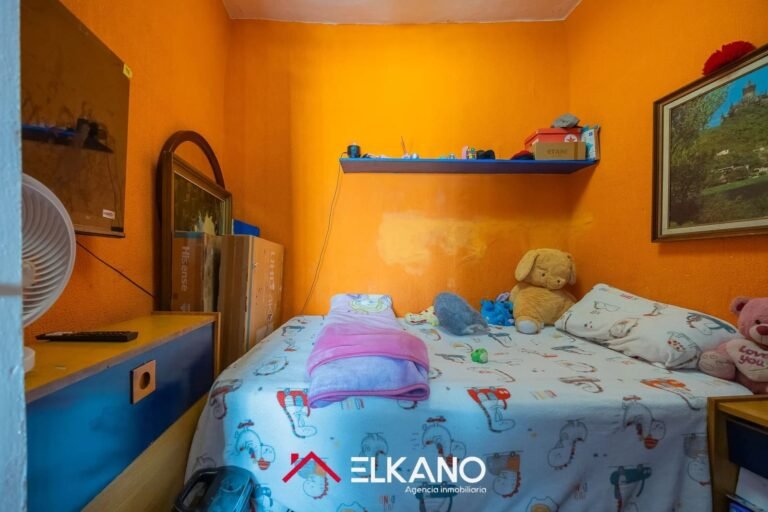Inmobiliaria Elkano - Calle del Perro - Casco viejo (14)