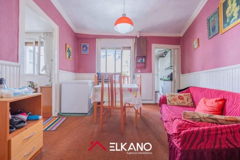 Inmobiliaria Elkano - Calle del Perro - Casco viejo (15)